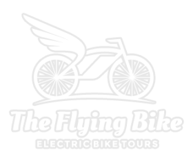 The Flying Bike