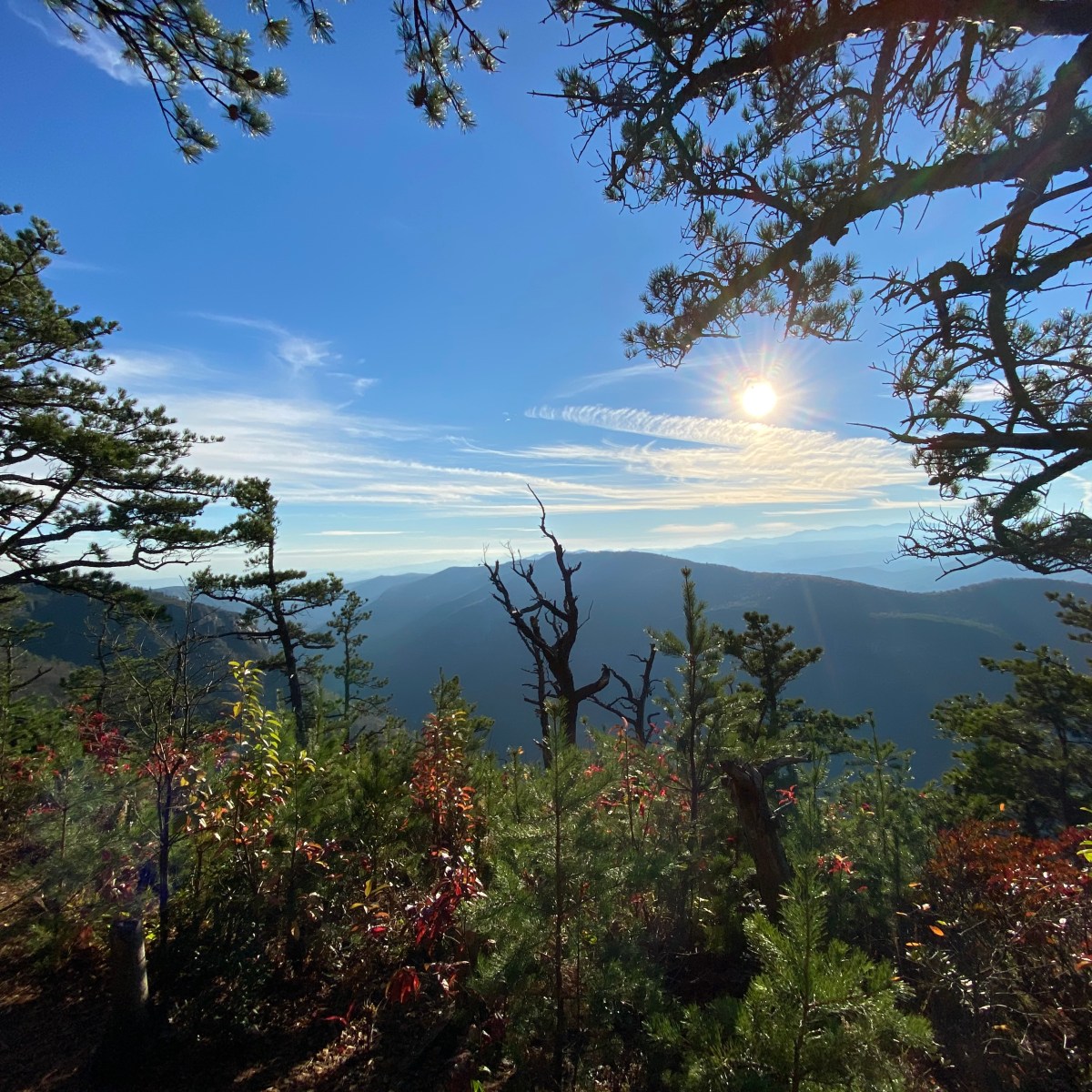 A vast overlook with mountains in the background
